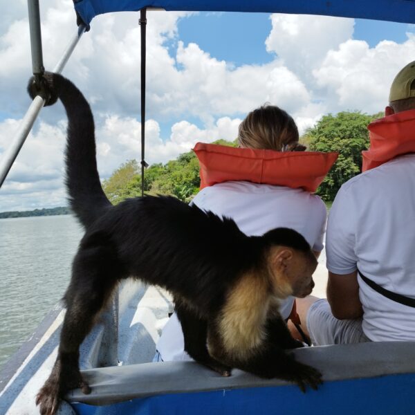 Monkey Island - 1